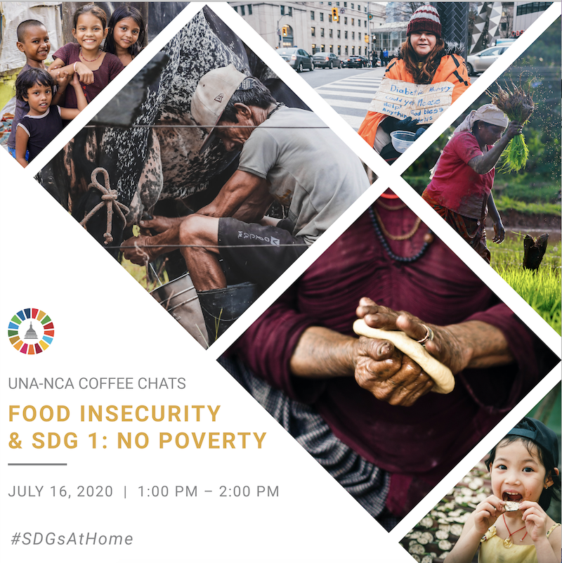 Food Insecurity & SDG 1: No Poverty