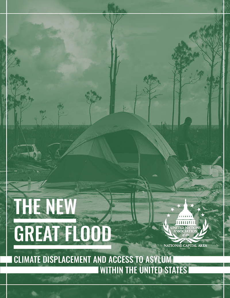 The New Great Flood